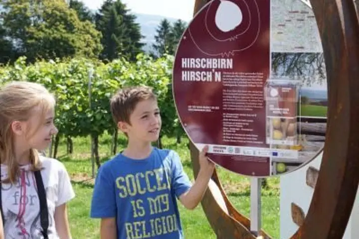 Besucher:innenlenkung