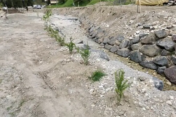 Naturschutzforschung