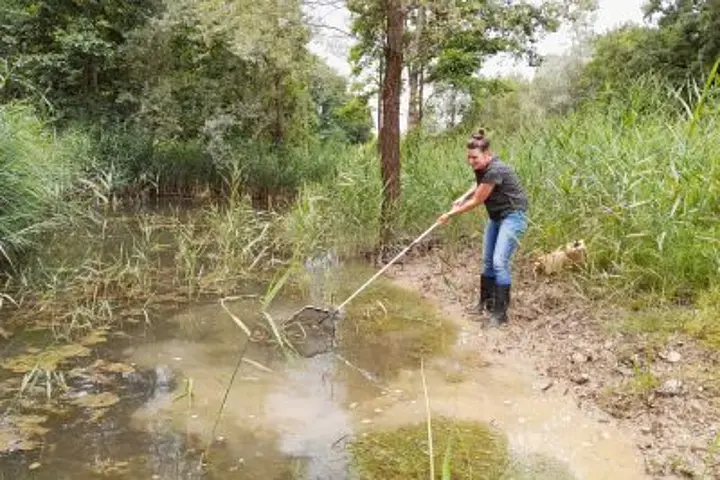 Landschaftsplanung und Naturschutzfachplanung