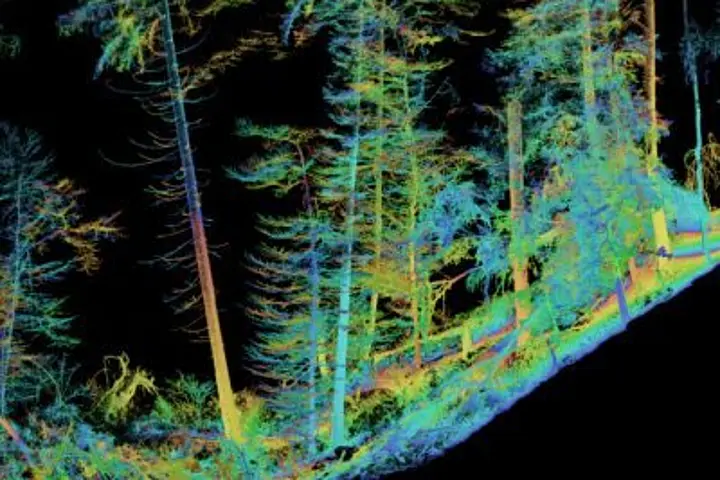 Fernerkundung und GIS-Analysen